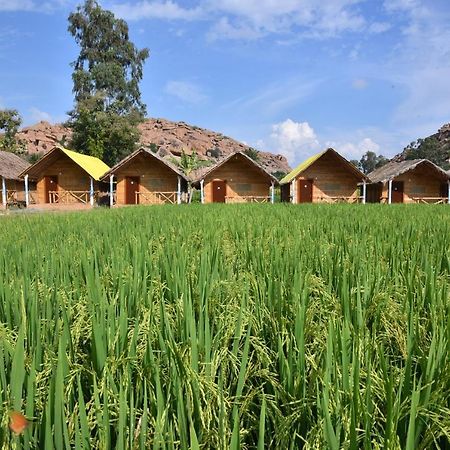 Dream Mango Hampi Hotel Eksteriør billede